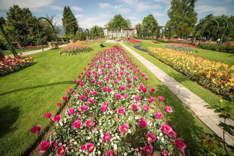 Villetta Primavera Verbania Exterior foto